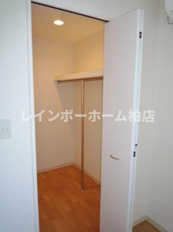 特典：仲介手数料が無料です!!の収納|ウォークインクローゼットです