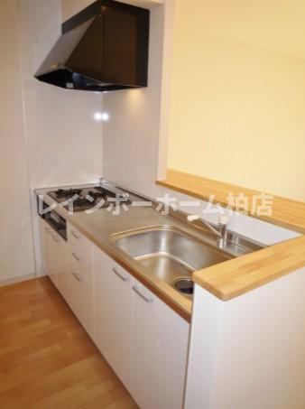特典：仲介手数料が無料です!!のキッチン|カウンターキッチンです