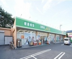 エクセルゲートＶの周辺|ドラッグエースまで300m