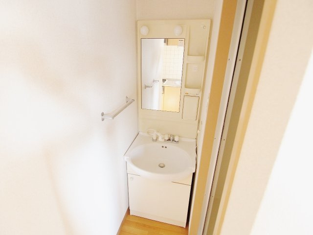 広島市安佐南区川内６丁目の賃貸マンションの洗面所