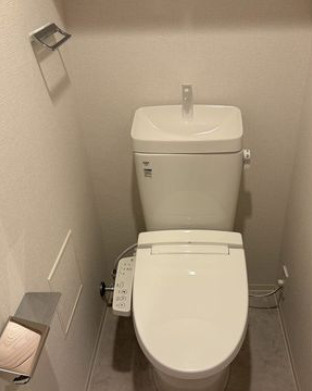 ベルファース品川大井町のトイレ|落ち着いた色調のトイレです