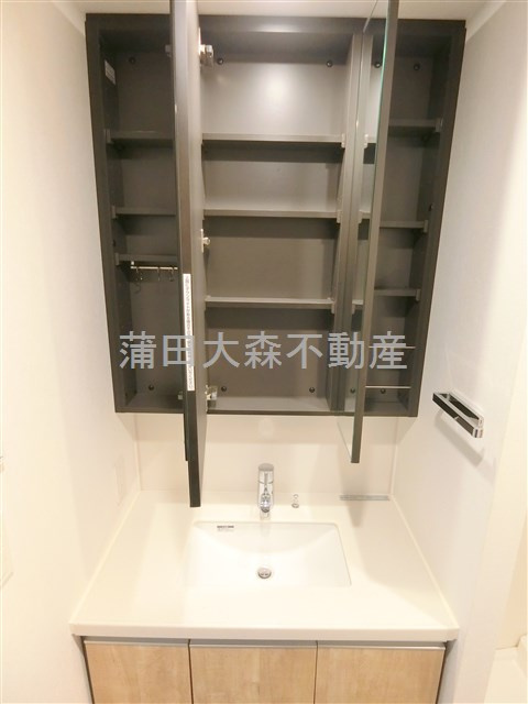 ラティエラ大森西の洗面所