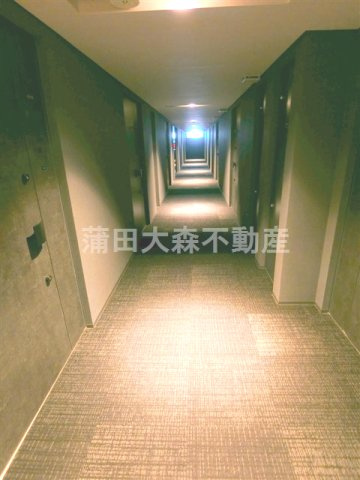 ラティエラ大森西のその他共用部分|共用廊下　カーペット敷きの内廊下