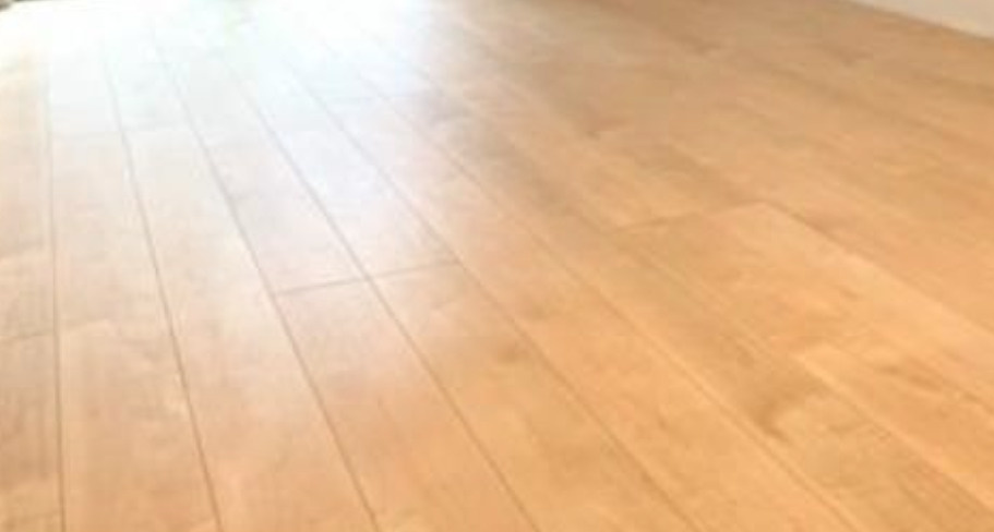 ワイズフォレストの内装