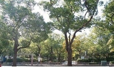 【周辺】 | ラフォーレⅤ　Ａ | 高松中央公園さんまで2500m