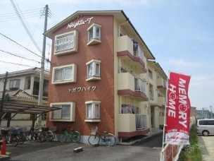 【外観】 | トガワハイツ