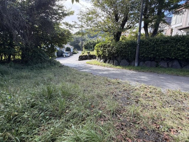 自然豊かな大室高原の土地の前面道路含む現地写真
