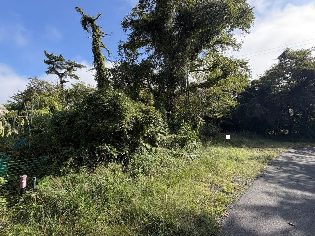 自然豊かな大室高原の土地の前面道路含む現地写真