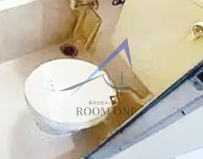 グリーンシャンクのトイレ|トイレです。