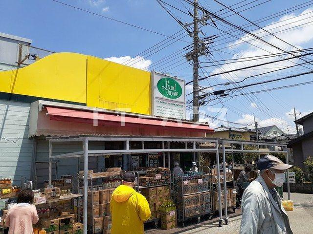 サラソウジュのその他