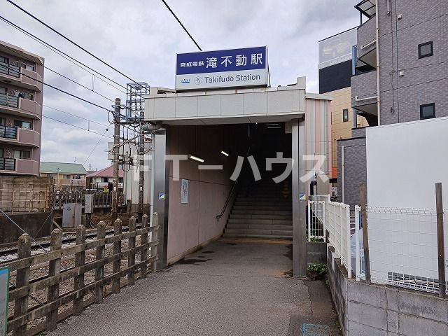 サラソウジュのその他