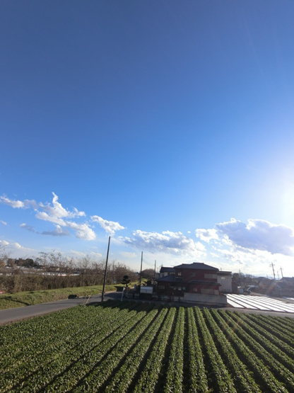 【展望】 | New Wind