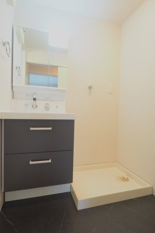 広島市安佐南区大町東２丁目の賃貸マンションの洗面所