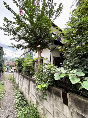 【前面道路含む現地写真】の画像