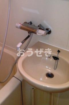 ネオマイム文京音羽の洗面所