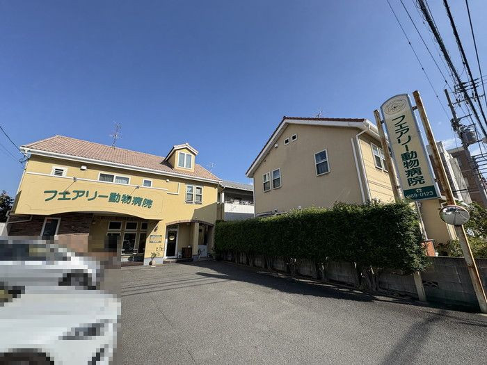 松山市にある「フェアリー動物病院」。大切なペットの病気予防から診療まで、丁寧な診察と対応で大切な家族の健康を守ります。