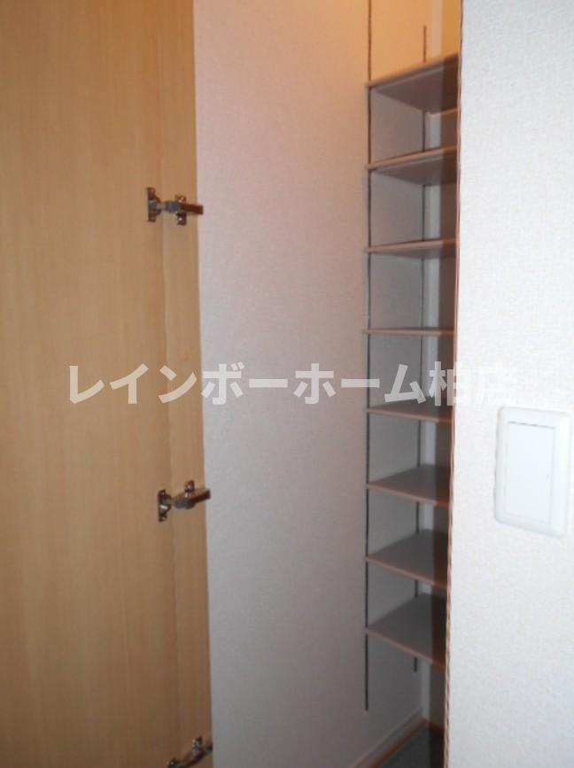 仲介手数料（賃料の1.10ヵ月）の50％OFF対象物件！の収納|玄関のシューズクロークです