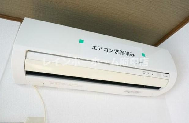 プルメリアのその他