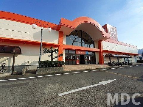 吉野川市鴨島町西麻植字広畑のアパートの周辺|ザ・ビッグ鴨島店さんまで1000m