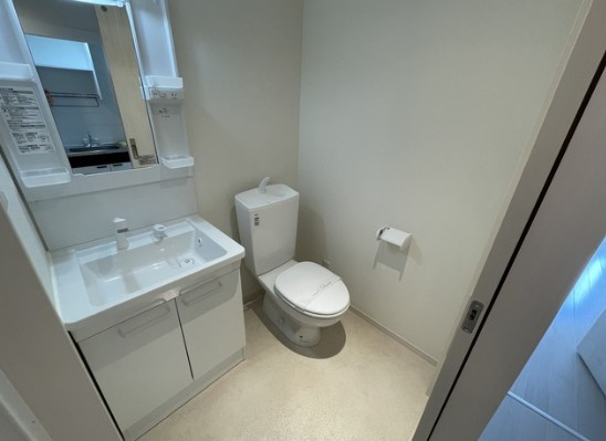 海老名市国分南３丁目のアパートの独立洗面台