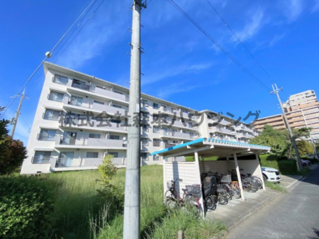 【外観】 | 　中宮第4住宅74号棟 | 物件の外観です
