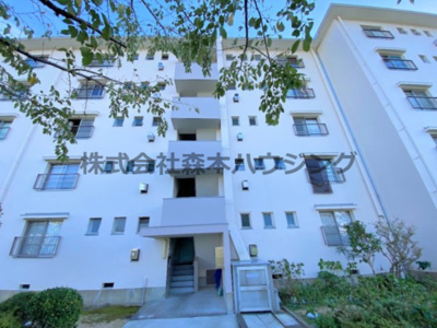 【外観】 | 　中宮第4住宅74号棟 | 外観も気になるポイント