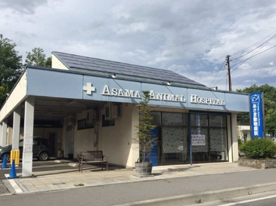 【周辺】 | パルテノス西軽井沢Ⅱ | あさま動物病院まで1900m