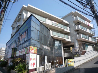【展望】 | サニー市が尾