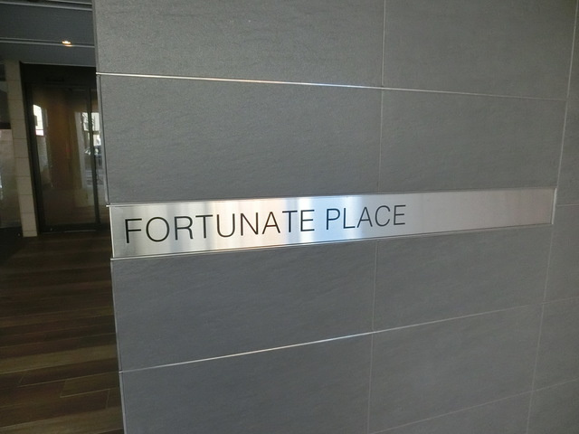 ＦＯＲＴＵＮＡＴＥ　ＰＬＡＣＥのその他