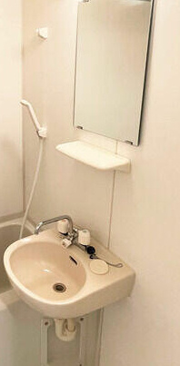 シャンテ堀切菖蒲園Ⅱの洗面所