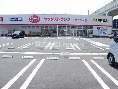 【その他】 | フレシールⅡ | その他