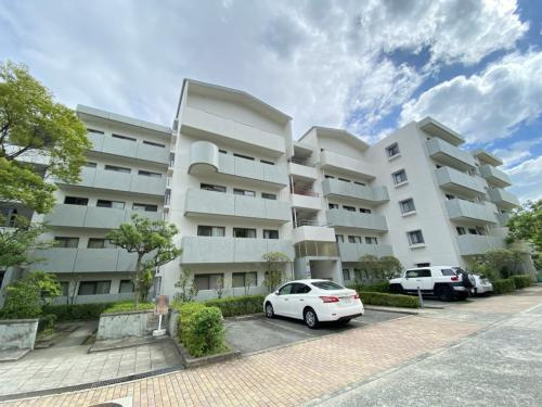 芦屋市朝日ケ丘町の賃貸マンションの外観