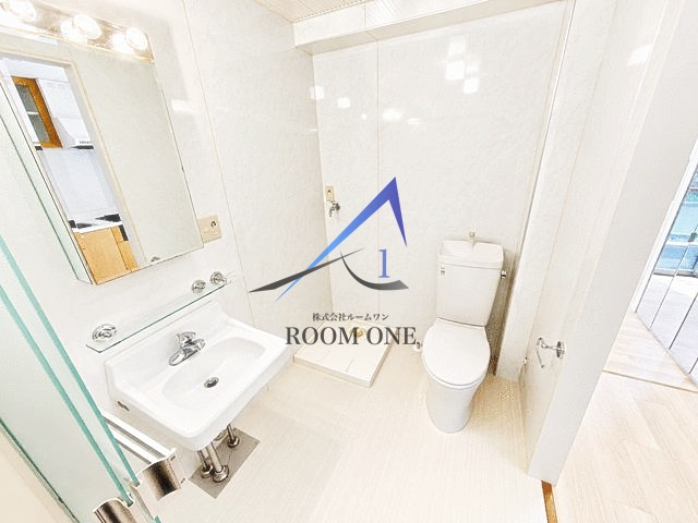 メゾン・ド・カルレのトイレ|トイレです。