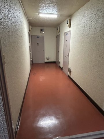 新力ハウスのその他