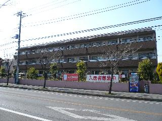 グリーン新柏