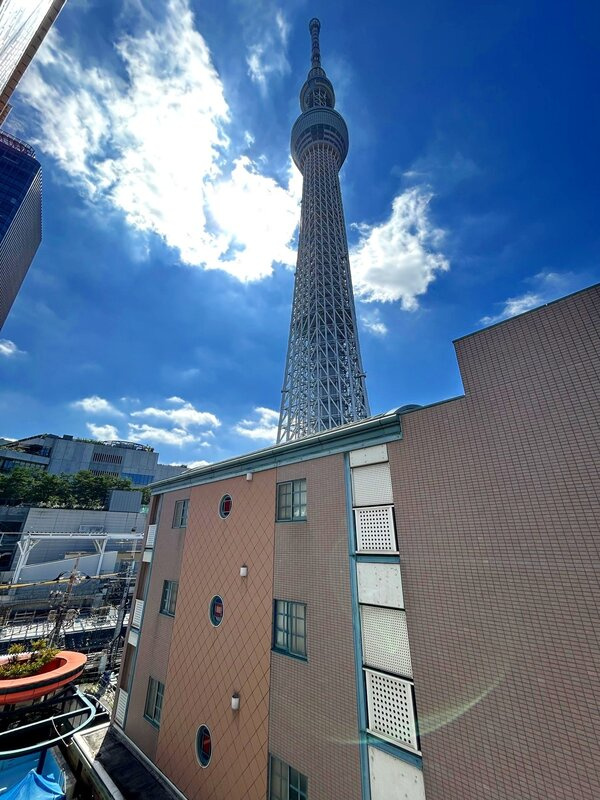 ライフコア押上の展望