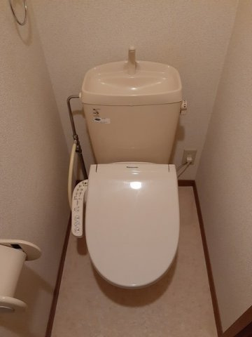 ビラ・ピノリコのトイレ