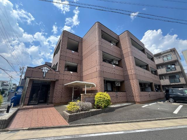サリーダＳ・Ｔ