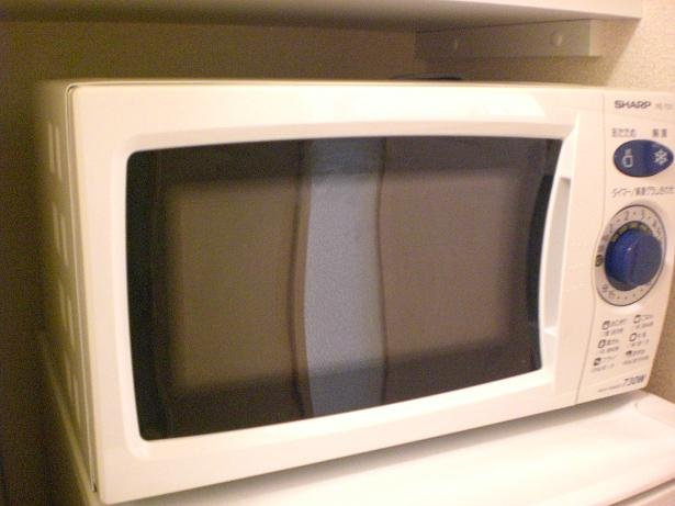 レオパレスリバーヴィレッジＡのその他|設備が現物と異なる場合があります