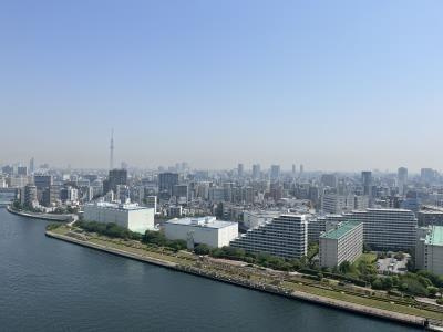 【展望】