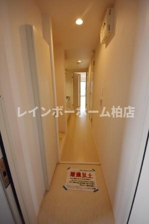 特典：仲介手数料が無料です!!の玄関|きれいな玄関です