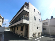 グレイスフル マローの画像