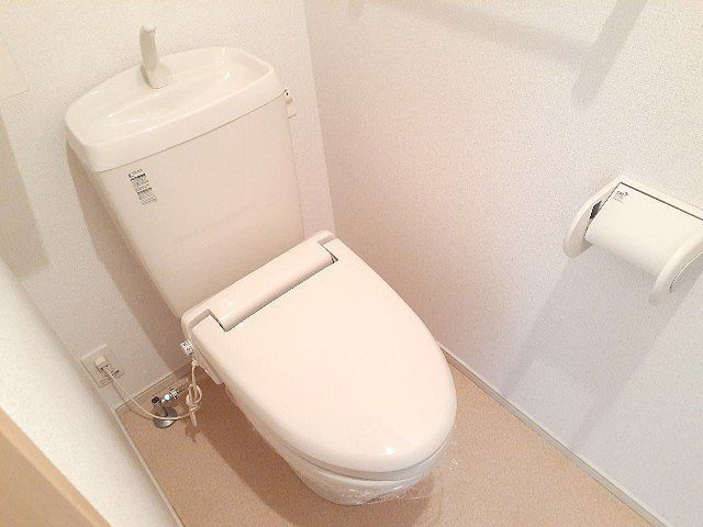 ビーナスのトイレ