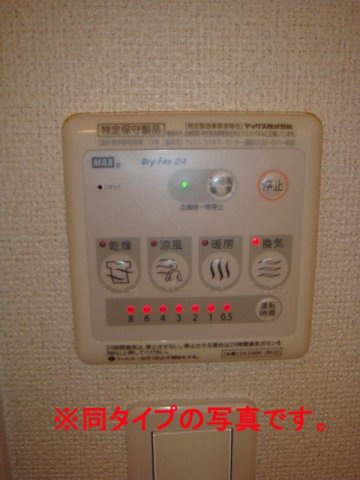 クリサンセマムのその他