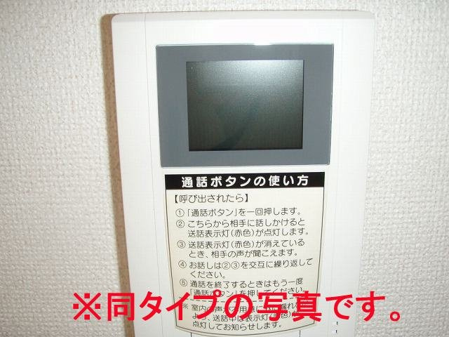 クリサンセマムのその他