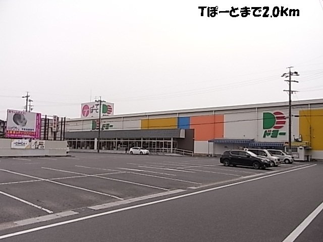 クリサンセマムのその他