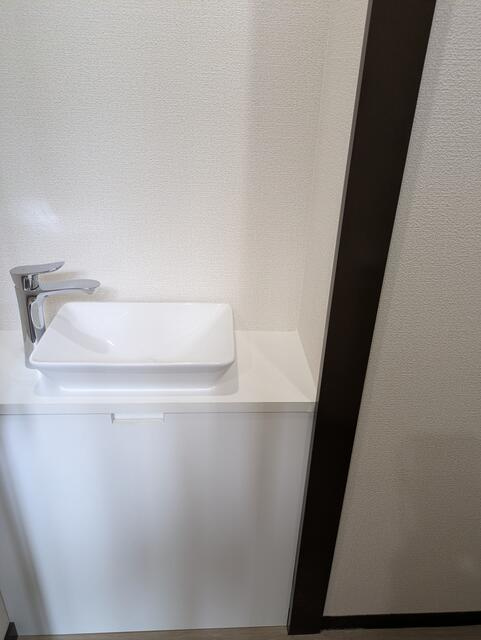 トライアルコートの洗面所
