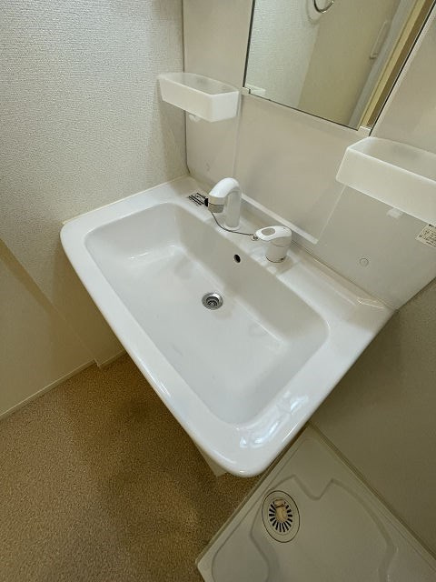 メゾン グランディールの洗面所