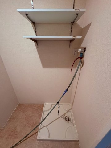 栖のその他