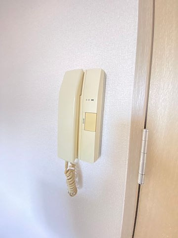 セントナルオのセキュリティ